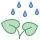 Two Leaves With Rain Drops